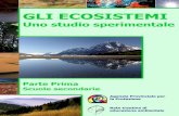GLI ECOSISTEMI - Provincia Autonoma di Trento - Agenzia ... · come la foresta pluviale, la taiga o la tundra. Un ecosistema può essere Due ecosistemi confinanti, un bosco di abete