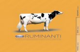 UINI RUMINANTI - agrovit.com · CON sELENIO ORGANICO Integratore vitaminico minerale completo per vacche in asciutta e per manze di oltre 7° mesi di gravidanza. Integratore vitaminico