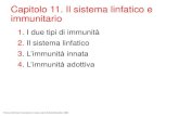 Capitolo 11. Il sistema linfatico e immunitario - acplanner.it · 2. Il sistema linfatico Il sistema responsabile dell’immunità adottiva è il sistema linfatico. Consiste di linfa,