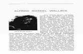Alfred Russel Wallace Obituary - people.wku.edupeople.wku.edu/charles.smith/wallace/obitNuovoAntologia.pdf · della nazione per l'opera sua, tutta la sua attivita. intellettuale ...
