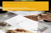 Guide de l'utilisateur de SAP BusinessObjects Analysis ... · Suite SAP BusinessObjects BI Document Version: 4.0 Support Package 7 - 2013-10-02 Guide de l'utilisateur de SAP BusinessObjects