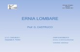 ERNIA LOMBARE - chirurgia-urologica.com laparoceli lombari castrucci.pdf · ADDOMINALE Chirurgia Urologica ... -RETROMUSCOLARE (Sec. Rives) ... (RIVES) ERNIA LOMBARE Romana TECNICHE