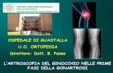OSPEDALE DI GUASTALLA U.O. ORTOPEDIA Direttore: Dott. … · Rimozione del tessuto cartilagineo degenerato, escissione/regolarizzazione delle lesioni degenerative meniscali instabili,
