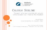 Calcolo Sublime - MATMEDIA · Nicola Fusco Liceo Scientifico “A. Scacchi”, Bari Bari, 21-22 Aprile 2017 Convegno ... correttamente gli esercizi base dell’analisi. ...