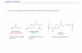 Acido acetico - Home Page-Dip.Biotecnologie-Università degli … · 2014-04-28 · Reazione di addizione di un nucleofilo ad un aldeide o un chetone. ... avvicina al gruppo carbonilico