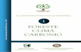 AIF OPUSCOLO1 FORESTE CLIMA CARBONIO - Agricolturaoldagricoltura.regione.marche.it/Portals/0/Documenti/Foreste/Anno... · Le foreste oltre a fornire legno, ... cui obiettivo è la