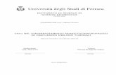 Università degli Studi di Ferrara - EprintsUnifeeprints.unife.it/655/1/Tesi Dottorato.pdf · Leucemia Linfatica Cronica (CLL, incidenza in Italia del 30%), Leucemia Mieloide Cronica