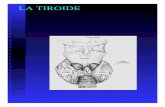 Lezione NOD TIR - omero.farm.unipi.itomero.farm.unipi.it/matdidFarm/132/Lezione NOD TIR.pdf · follow-up dei pazienti già trattati per carcinoma tiroideo con tiroidectomia totale
