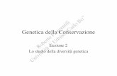 Bo ” Genetica della Conservazione di Urbino “ Piergentili ...urbigen.altervista.org/didattica/lezioni/GC02.pdf · individui eterozigoti (codominanza, dominanza incompleta, ecc.),