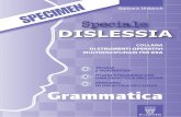 DSA Grammatica completo - capitello.it · dsa: i disturbi specifici di apprendimento 4 2. strumenti compensativi e misure dispensative 10 3. strategie di supporto per i dsa 14 4.