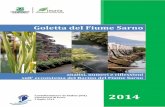 Goletta del Fiume Sarno - Legambiente · 2014-07-02 · La costituzione del Parco Regionale del Fiume Sarno ... delle risorse idriche per il raggiungimento degli obiettivi della direttiva