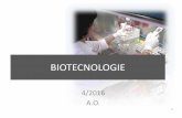 BIOTECNOLOGIE - anna onofriannaonofri.net/files/biotecnologie_clonaggio_lez1.pdf · • Tecnologia del DNA ricombinante (ingegneria genetica), sviluppata negli anni Ottanta. • Insieme