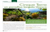 e sUggestioni Cinque Terre - Parco Nazionale delle Cinque ... · Cinque Terre è stato istituito anche il santuario dei cetacei, nato nel 1999 in seguito a un accordo internazionale