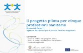 Il progetto pilota per cinque professioni sanitarie - SEPENhealthworkforce.eu/wp-content/uploads/2016/05/160519_5_Paolo... · Il fabbisogno dei professionisti sanitari nei prossimi