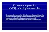 Un nuovo approccio: la VEQ in biologia molecolare · Amplificazione del gene UL44 (1299pb) Fattori che interferiscono con le procedure analitiche Preparazione dei campioni DNA. Eliminazione