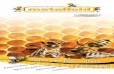 prodotti italiani - metalfold.commetalfold.com/files/download/METALFOLD_cat_API.pdf · Fondo alveolare per arnia ... Vuoi fare polline in modo serio e professionale, ... , la produzione