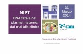 Un anno di esperienza italiana Marianna Andreani · •NT >3.5 mm CVS 10 weeks: •Scan to measure the fetus ... Plica Nucale aumentata 17 3% dei feti con NT aumentata, presenteranno