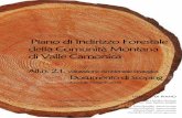 Piano di Indirizzo Forestale della Comunità Montana di ... · Indirizzo Forestale della C.M. della Valle Camonica che si concluderà ... contribuire a individuare l’ambito di influenza