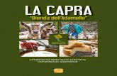 LA CAPRA · INQUADRAMENTO TERRITORIALE ... 1.1 LA VALLE CAMONICA ... l’importanza della fauna autoctona nell’ambiente Adamellino” nell’ambito del