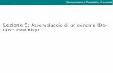Lezione 6: Assemblaggio di un genoma (De- novo assembly)m.docente.unife.it/andrea.benazzo/materiale-didattico/7-bb-denovo... · – Prefissi e suffissi diventano invece i nodi K-mers