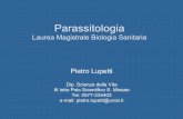 Parassitologia - dsv.unisi.it · profilassi relativi a ciascuna delle parassitosi trattate nella parte speciale. Bacterium (prokaryote) Animal (eukaryote) Plant (eukaryote) ... disponibilità