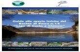 Guida alle specie ittiche del Bacino di Pesca n.12 “Lago di Corlo e … · Guida alle specie ittiche del Bacino di Pesca n.12 “Cismon-Corlo” “Iniziativa realizzata con il
