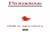 Associazione Nazionale Biotecnologi Italiani Prometeus · inserto speciale OGM in agricoltura inserto speciale3 PrometeusAssociazione Nazionale Biotecnologi Italiani A N B I M A G