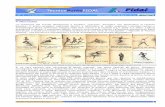 La collezione in 12 fascicoli dei “Manuali di Tecnica ... · Le basi dell’avviamento all’atletica, comuni anche a molti altri sport, sono: la corsa, il salto e il lancio. ...
