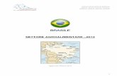 Scheda Brasile 2013 AGROALIMENTARE 2202 - expomo.com · potenzialità per essere in breve, il punto di riferimento mondiale nella produzione di combustibile a partire dall’olio