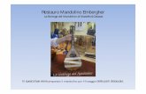 Restauro Mandolino Embergher - La Bottega del Mandolino · Mandolino Embergher prima del trattamento In questa fase si prepara lo strumento per ricevere il trattamento di pulitura