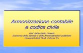 Armonizzazione contabile e codice civile - gesinf.it 2g/Slide/01-Grandis... · in contabilità civilistica? NOZIONE ITALIANA NOZIONE EUROPEA Enti di previdenza privati Ordini professionali