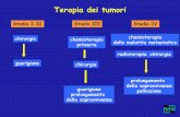 Terapia dei tumori - unisi.it · Terapia dei tumori chirurgia Stadio I-II chemioterapia primaria chirurgia Stadio III chemioterapia della malattia metastatica radioterapia chirurgia