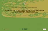 Codice forestale Camaldolese - INEA - Archivio Digitale ...dspace.crea.gov.it/bitstream/inea/115/1/ForesteCamaldoli_web.pdf · Le fonti storiche 67 2.1 La digitalizzazione dei documenti