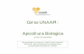 Corso UNAAPI: Apicoltura Biologica - mieliditalia.it · Apicoltura Biologica a cura di Luca Allais Materiale didattico utilizzato per i moduli formativi organizzati dall’UNAAPI.