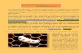 Apicoltura Biologica - Bomboniere Artistiche Biologica.pdf · di prodotti di sintesi come antiparassitari e antibiotici, NATURALE con l’utilizzo di ... Apicoltura Biologica Malattie