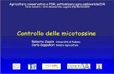 Controllo delle micotossine - Veneto Agricoltura · di agenti di biocontrollo in grado di indurre nei cereali a paglia resistenza ai Fusaria. Ad oggi, l’applicazione delle Buone