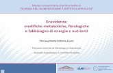 Gravidanza: modiﬁche*metaboliche, ﬁsiologiche* e ...videoelearning.clio.it/3338/allegati/Slide.pdf · fisiologiche e fabbisogno di energia e nutrienti Prof.ssa Maria Antonia Fusco.