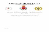 COMUNE DI IGLESIAS · comune di iglesias provincia di carbonia- iglesias piano comunale di protezione civile allegato modelli di ordinanze rev 0 – 2017
