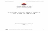 CORSO DI LAUREA MAGISTRALE IN MEDICINA E CHIRURGIAcorsi.unica.it/medicinaechirurgia/files/2013/12/progr_med_270_1.pdf · Corso Integrato di Istologia e Embriologia 15 Scienze Umane