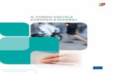 Il Fondo SocIale europeo e dISabIlI - ec.europa.euec.europa.eu/employment_social/esf/docs/sf_disability_it.pdf · 2 3 Il Fondo Sociale europeo in sintesi Il Fondo Sociale Europeo
