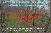 MECCANIZZAZIONE DELLE COLTURE ARBOREE DA BIOMASSA · 2007-03-05 · MECCANIZZAZIONE DELLE COLTURE ARBOREE DA BIOMASSA P. Balsari, M. Manzone, G. Airoldi Università di Torino - DEIAFA