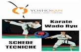 Karate WadoRyu - sf7daddcfbd7550bb.jimcontent.com · Si è soliti individuare le origini del Karate nel metodo di combattimento indiano che venne introdotto ... * sportivizzazione