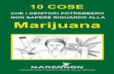 CHE I GENITORI POTREBBERO NON SAPERE RIGUARDO … · hanno affermato che l’uso di cannabis ... questa droga durante l’adolescenza, ... ridotti e gli effetti collaterali sono pericolosi