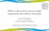 Commissione Bioingegneria Ordine degli Ingegneri di Bergamo · • Traffico veicolare: ... Inquinamento da traffico: problema globale • Le emissioni dei veicoli a motore inquinano