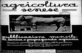 Agricoltura senese - liberdigit.orgagric-senese-1942.pdf · Relazione sullo svolgimento delle iniziative zootecniche nel 1941 -XIX Le iniziative zooteeniche si sono svolte nel 1941,