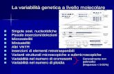 La variabilità genetica a livello molecolarepeople.unica.it/carlamariacalo/files/2012/04/2.polimorfismi_DNA.pdf · La variabilità genetica a livello molecolare ... preso corpo una