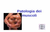 Patoatoogadelogia dei muscoli - UniFI · Lesioni muscolari da traumi direttiLesioni muscolari da traumi diretti Grado moderato • Dolore che rapidamente si riduce fino a Dolore che