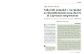 per il miglioramento qualitativo di Cupressus sempervirens · 2015-03-19 · ca della coltivazione su substrato, assai ... Con l’obiettivo di valutare l’efficacia di materiali