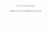DROGA E CRIMINALITÀ - Ristretti Orizzonti. Sito di ... · 4 Ponti G., Compendio di Criminologia , Raffaello Cortina Editore, Milano, 1999 5 Cancrini L., Esperienze di una ricerca