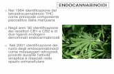 Endocannabinoidi - Moodle@Units · due ligandi endogeni denominati endocannabinoidi Nel 2001 identiﬁcazione del ... periferico nella trasmissione degli stimoli nocicettivi, ...